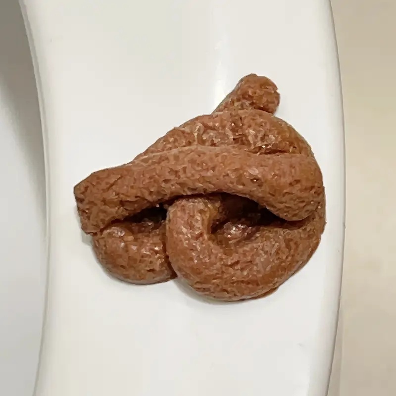 Realistic Floating Fake Poop P - Fake Poop Gag Gift ulasan dan harga